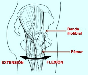 Resultado de imagen de mecanismo de la cadera