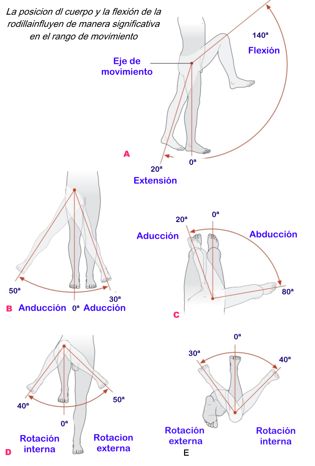 Movimientos de la cadera