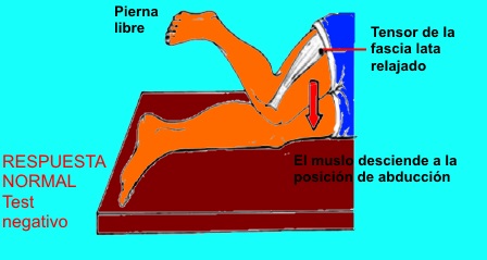 Prueba de Ober - Paso 2