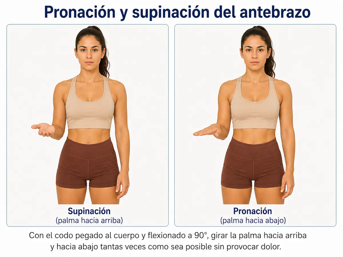 Pronación y supinación del antebrazo
