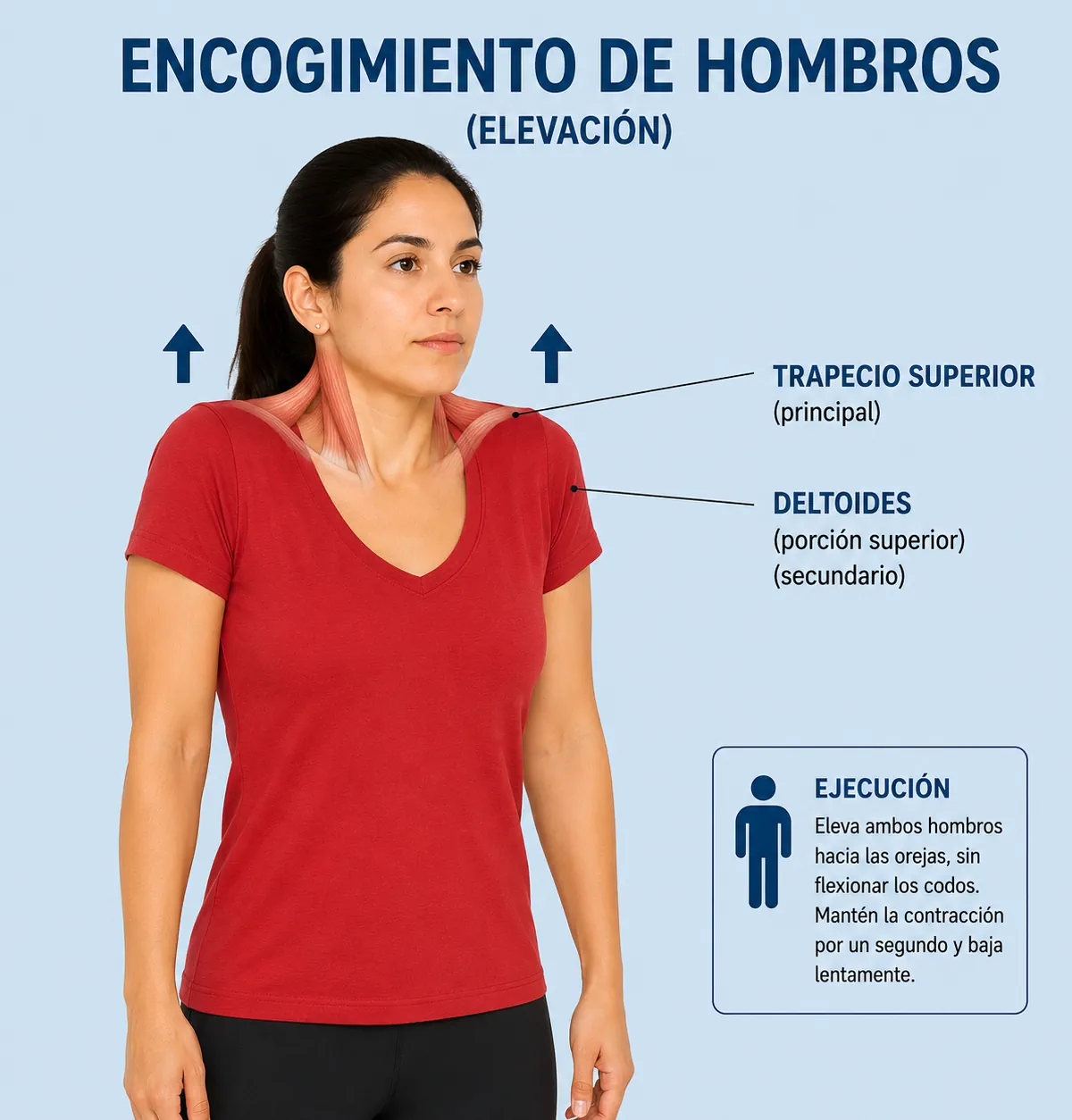 Encogimientos de hombros