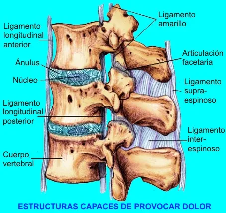 Biomecánica de la columna
