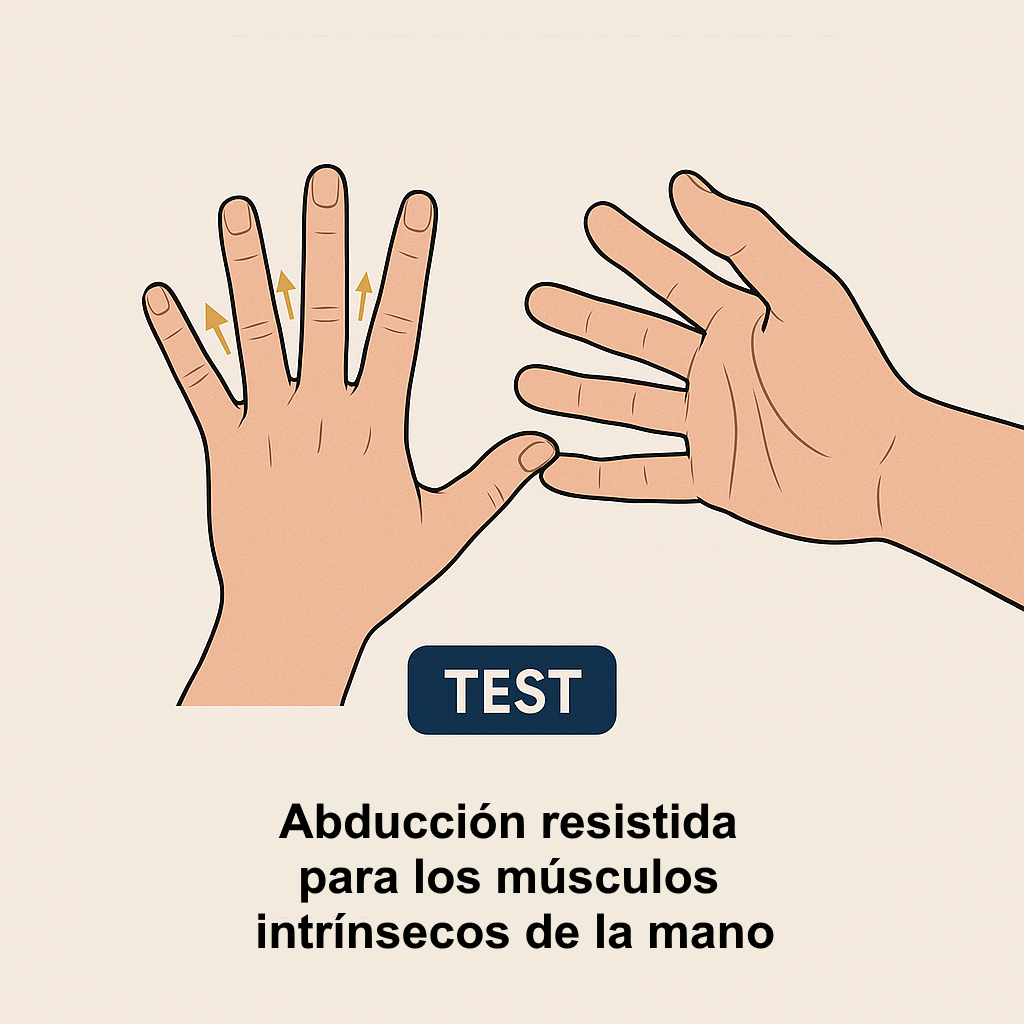Prueba de abdución resistida