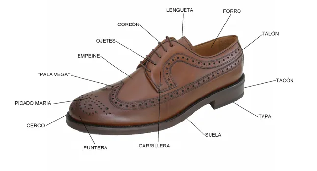 Partes principales de un zapato