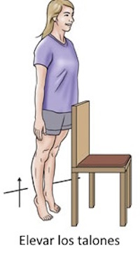 Elevación de talones