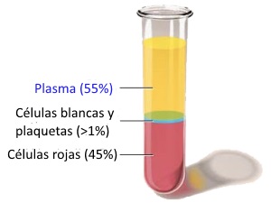 Terapias regenerativas PRP fascitis plantar