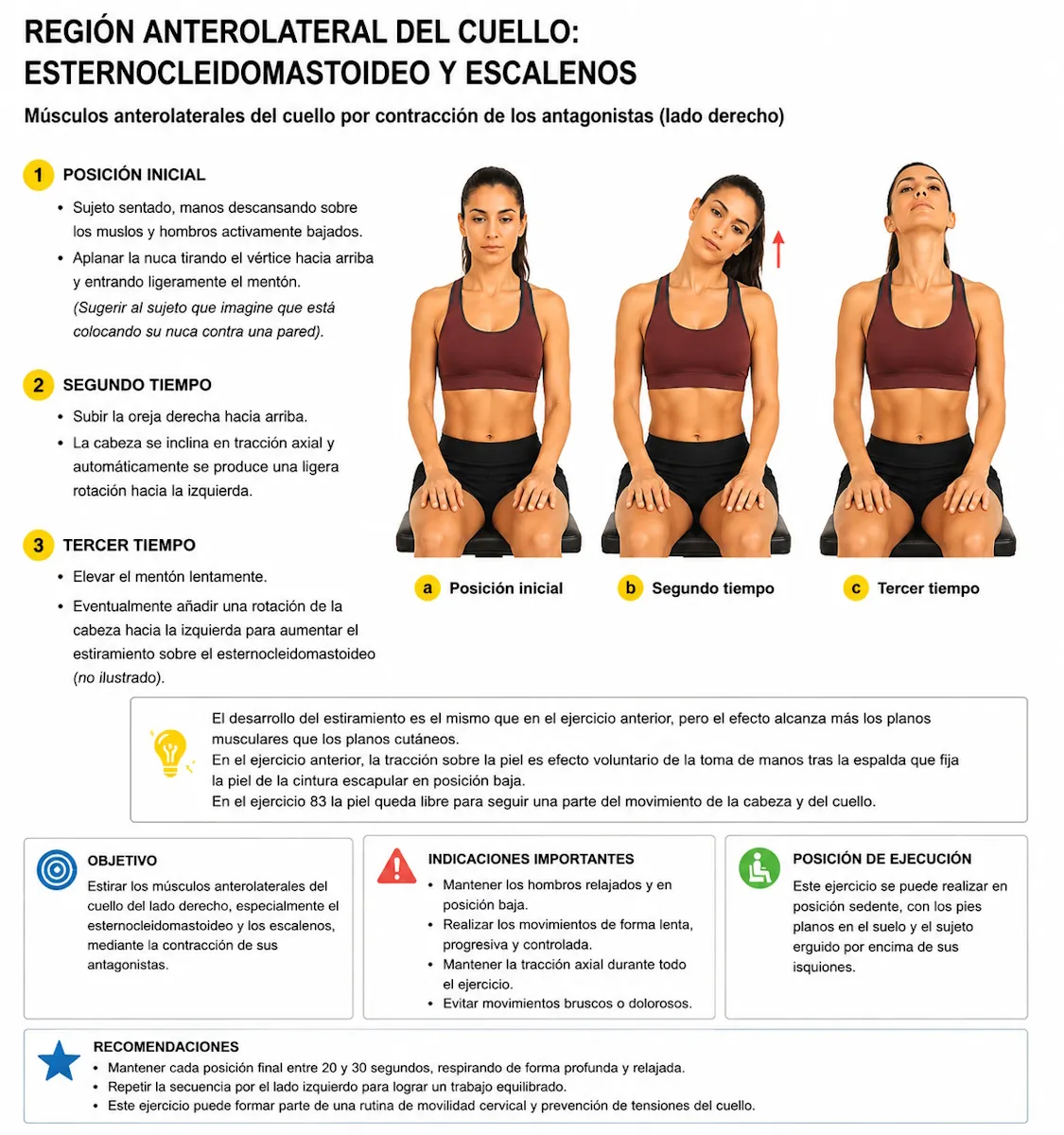 Estiramiento de esternocleidomastoideo y escalenos