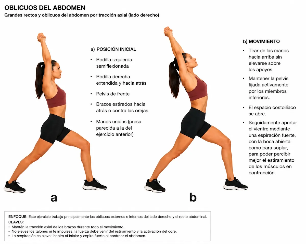 Estiramiento de oblicuos del abdomen por tracción axial