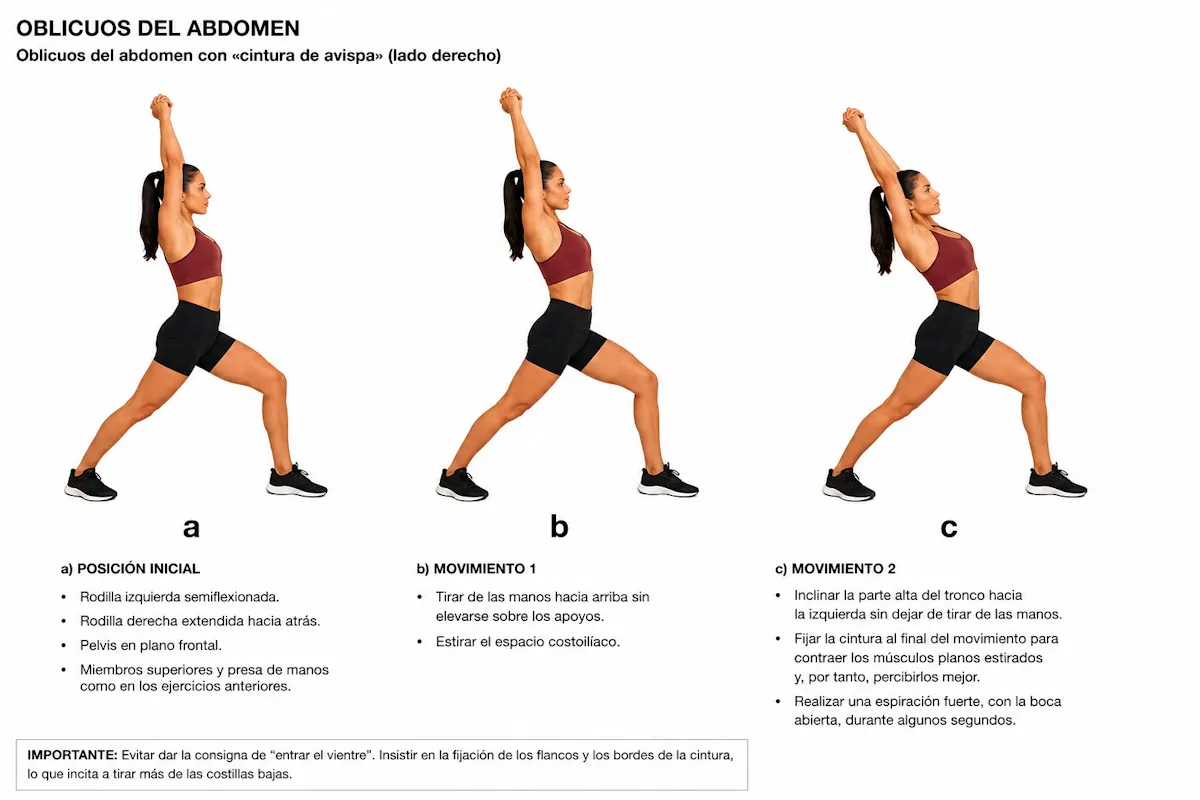 Estiramiento de oblicuos del abdomen con cintura de avispa