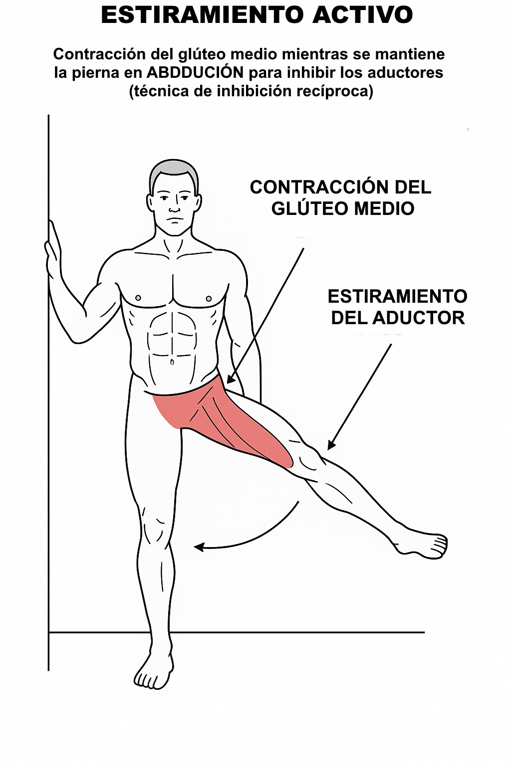 Abducción activa con glúteo medio