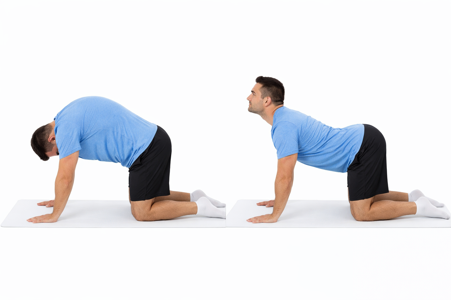Ejercicio gato-vaca para movilidad lumbar