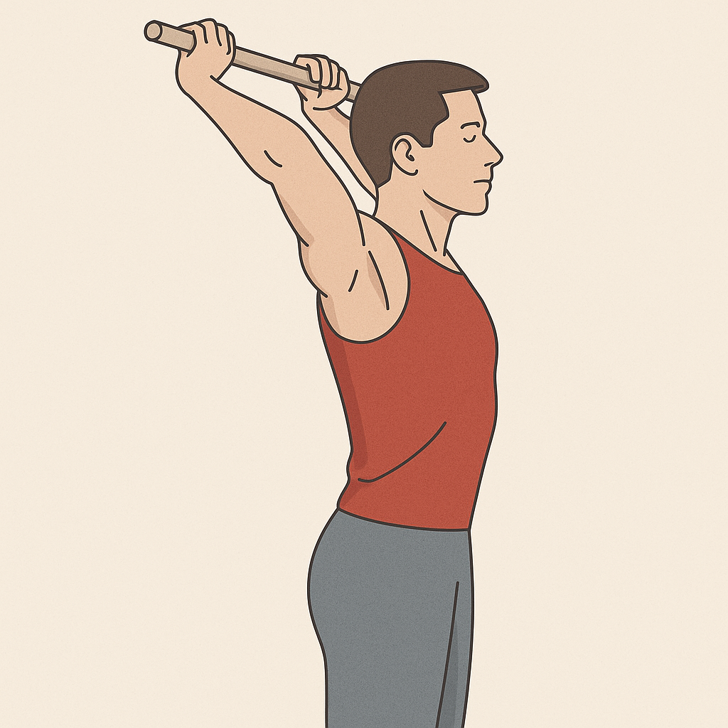 Estiramientos activos de tríceps con bastón