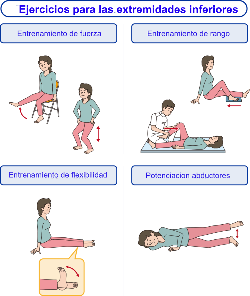 Ejercicios de rehabilitación miembros inferiores