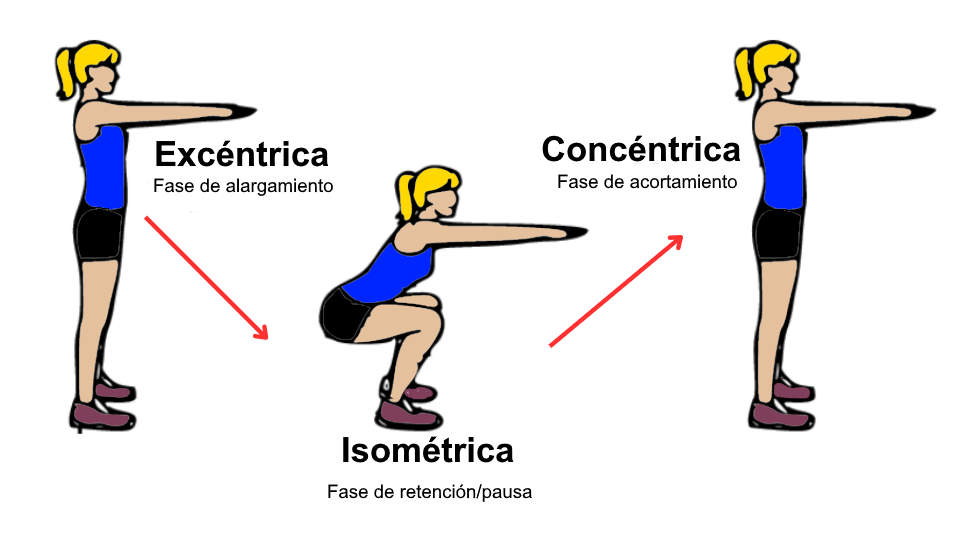 Sentadilla excéntrica