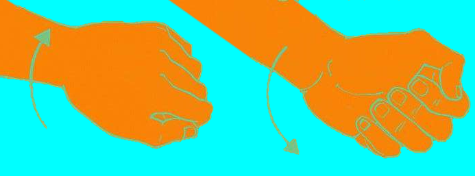 Flexo-extensión activa