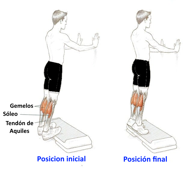 Elevación de talones en escalón