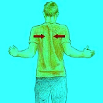 fortalecimiento escapula