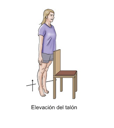 Elevación de talón