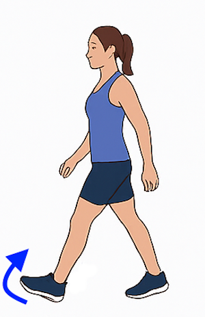 Marcha funcional con activación del poplíteo