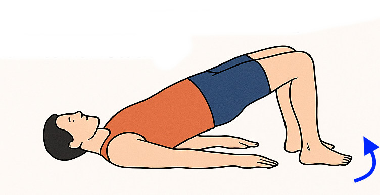 Puente con rotación tibial