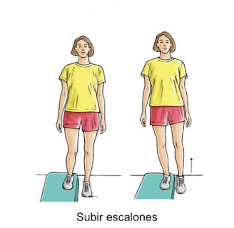 Subir escalones